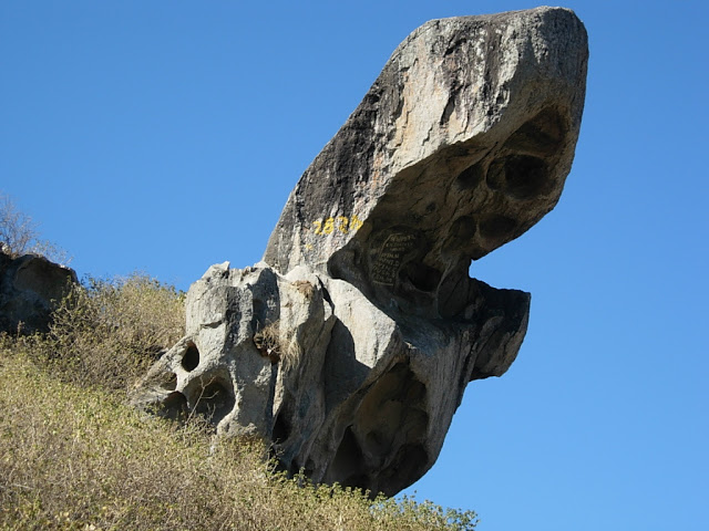 Toad-Rock-Mount-Abu1